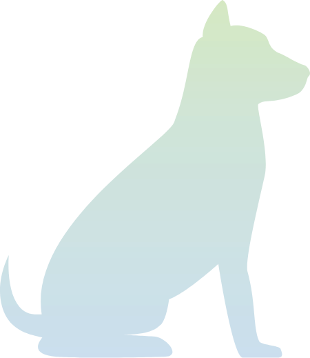 Veterinarians in Lake Worth | Animal Clinic of West Lake Worth